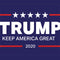 Keep America Great Wii (Includes 1 Controller) Skin